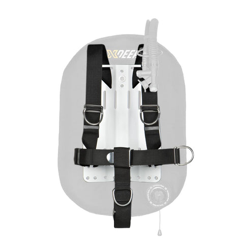 DIR Backplate + Harness, Stainless Steel